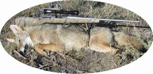 RG s2stYote257IMP2004.jpg