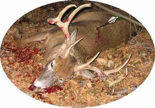 RGs2004BIG8MemValley2 001.jpg